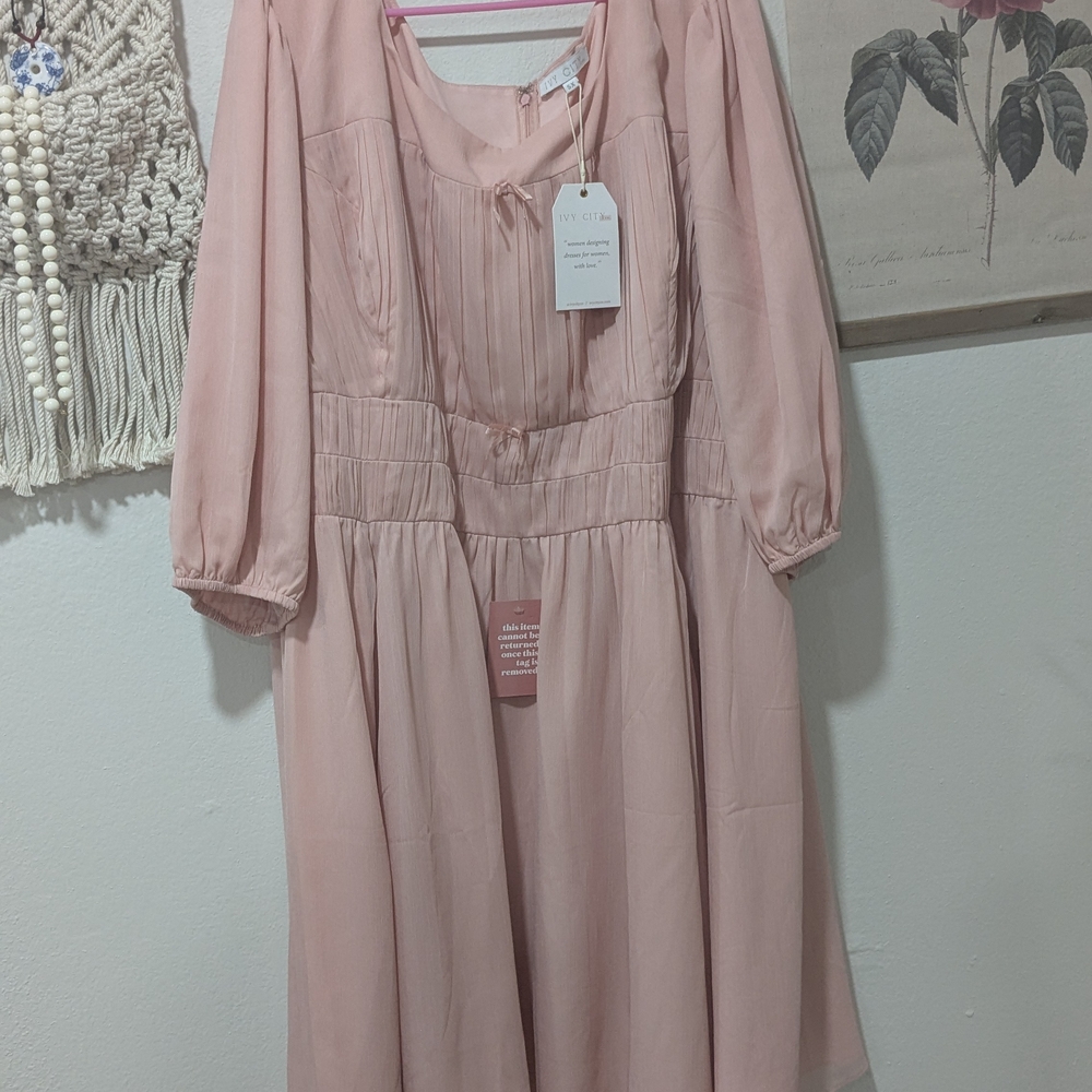 Ivy City Co Do Re Mi Blush Pink Dress 5X